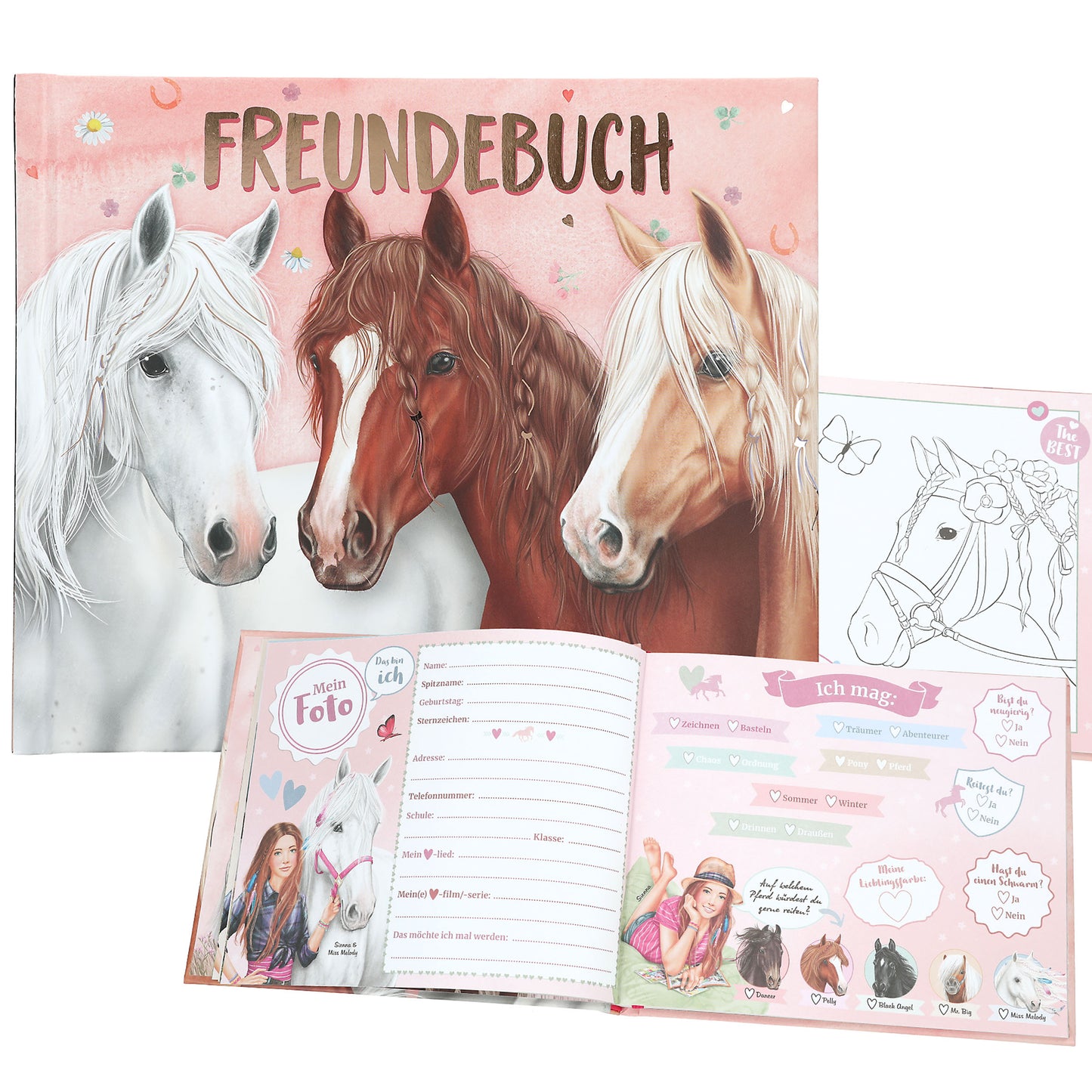 Miss Melody Freundebuch, Motiv 1